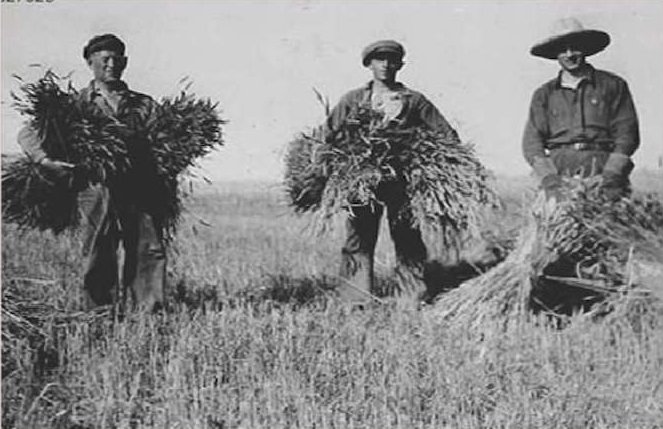 A train is stopped in a small town next to a train station and two elevators.