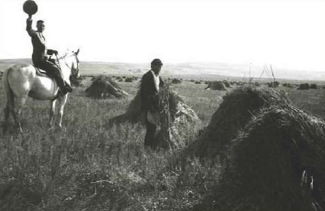 A train is stopped in a small town next to a train station and two elevators.