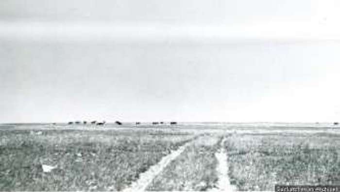 A train is stopped in a small town next to a train station and two elevators.