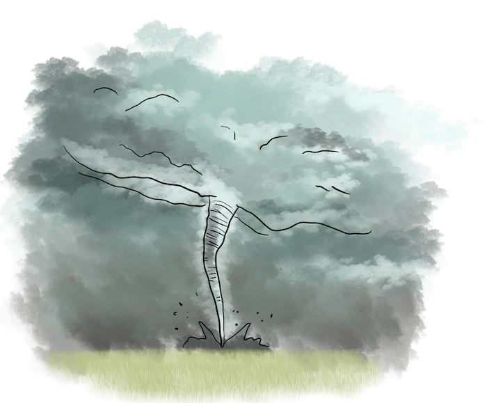 Past-Farming-Farming Challenges-Weather Disasters