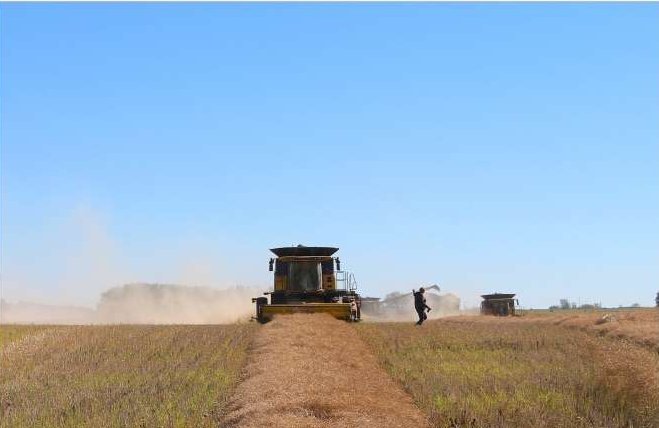 A train is stopped in a small town next to a train station and two elevators.