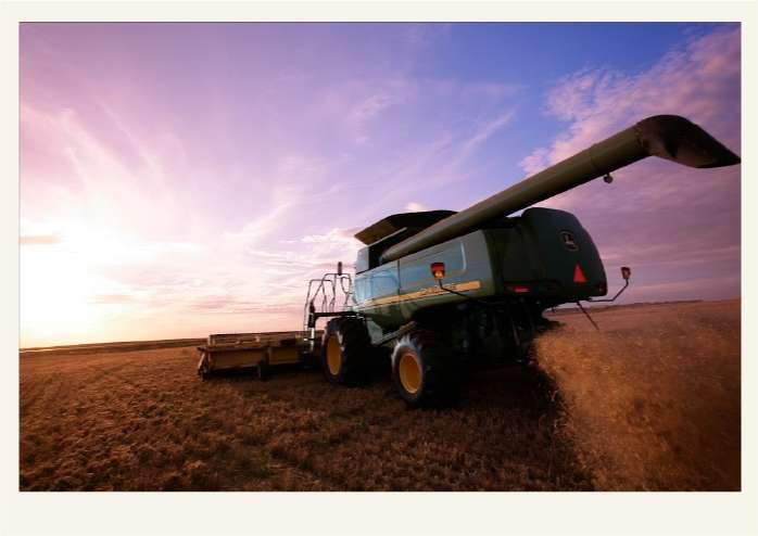 Present-FieldCrops-Flax-Growing2