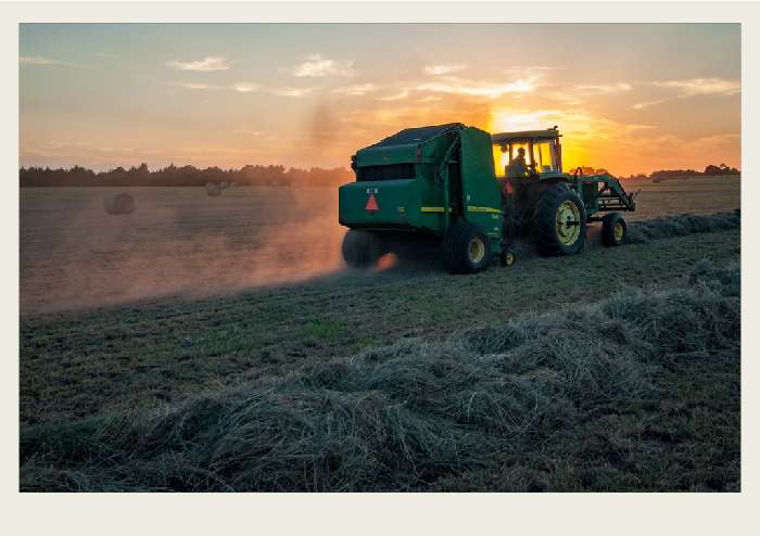 Present-FieldCrops-ForageCrops-Growing4