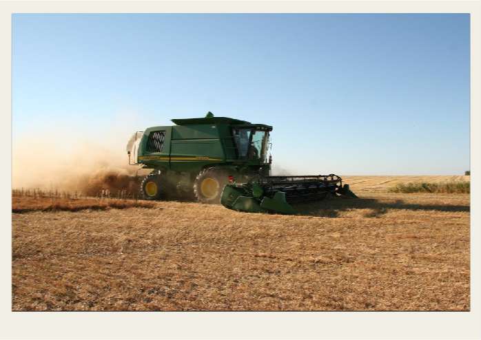 Present-FieldCrops-Lentils-Growing3
