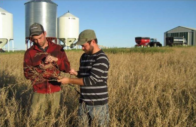 A train is stopped in a small town next to a train station and two elevators.