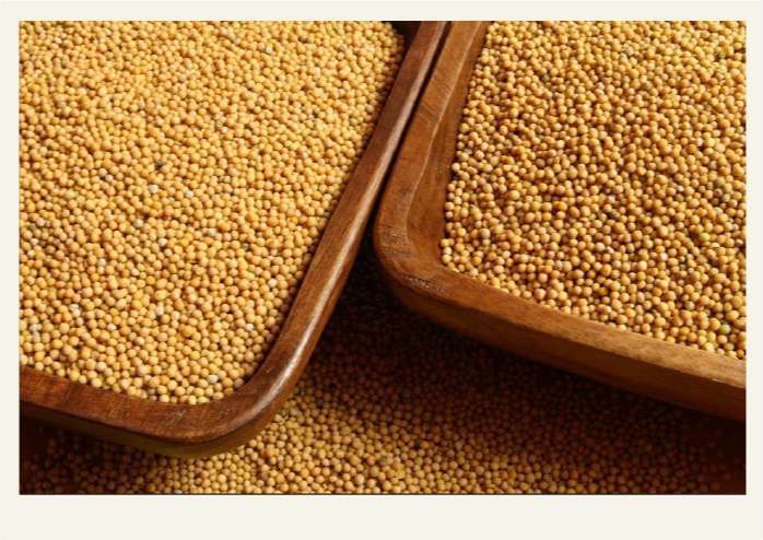 Present-FieldCrops-Mustard-Nutrition