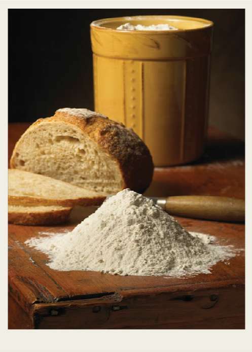 Present-FieldCrops-Wheat-Overview