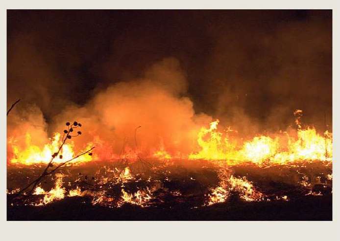 Past - Farming - Farming Challenges - Weather Disasters 3