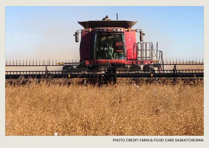 Present-FieldCrops-Oats-Growing2