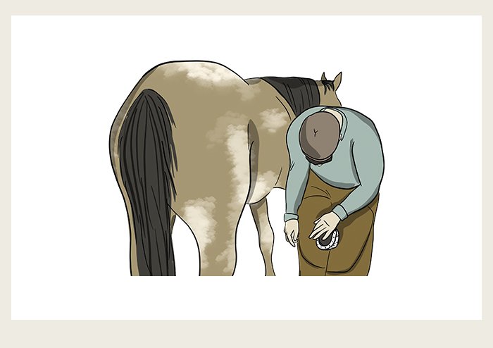 A blacksmith is bending over to pick up a horse's hoof so he can put a steel horseshoe onto the horse.