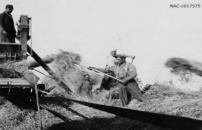 A train is stopped in a small town next to a train station and two elevators.
