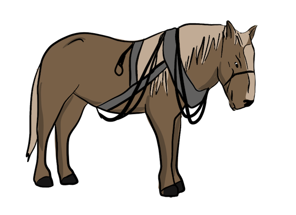 A horse stands with a harness around it's body. 