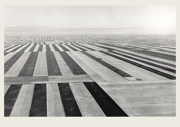 Strip-Farming-Border