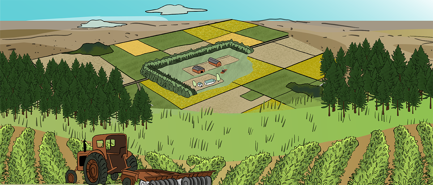 The-Great-Depression-Innovations-Banner-1400x600 An aerial view of a homestead with a shelterbelt around it is shown. There are fields around the homestead that have alternating crops on them, as a way of strip farming.