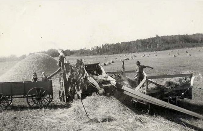 A farmer is standing on top of a cart, transfering stalks of grain with a pitchfork from the cart to the threshing machine. Four other children are sitting in a wagon and on the threshing machine watching their Dad work in the field.