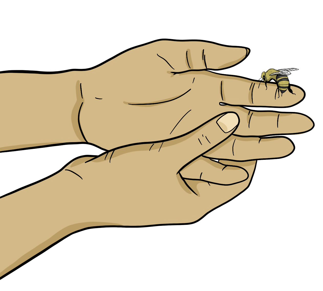 An illustration of a bee that has landed on a human’s finger with its stinger out.