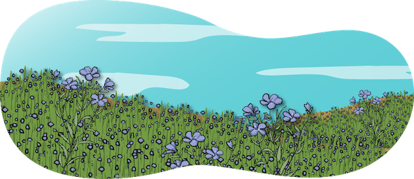 An illustration of a flax crop with purple flowers is shown.