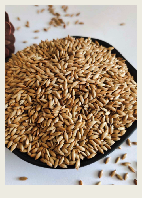 A container of canary seed is shown.