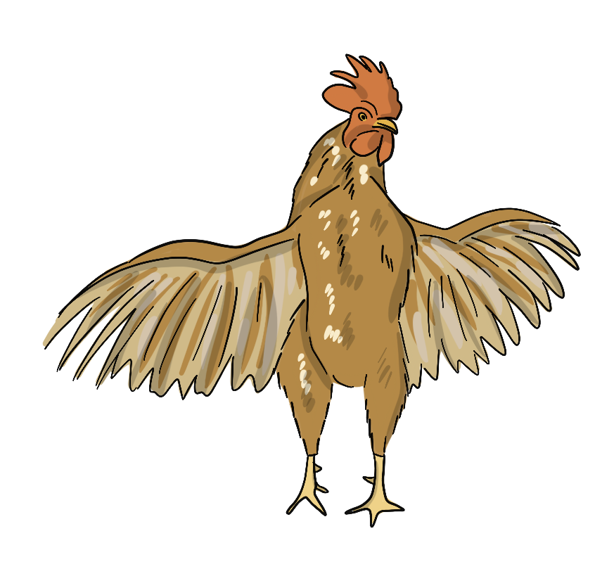 A illustrated chicken is flapping its wings.