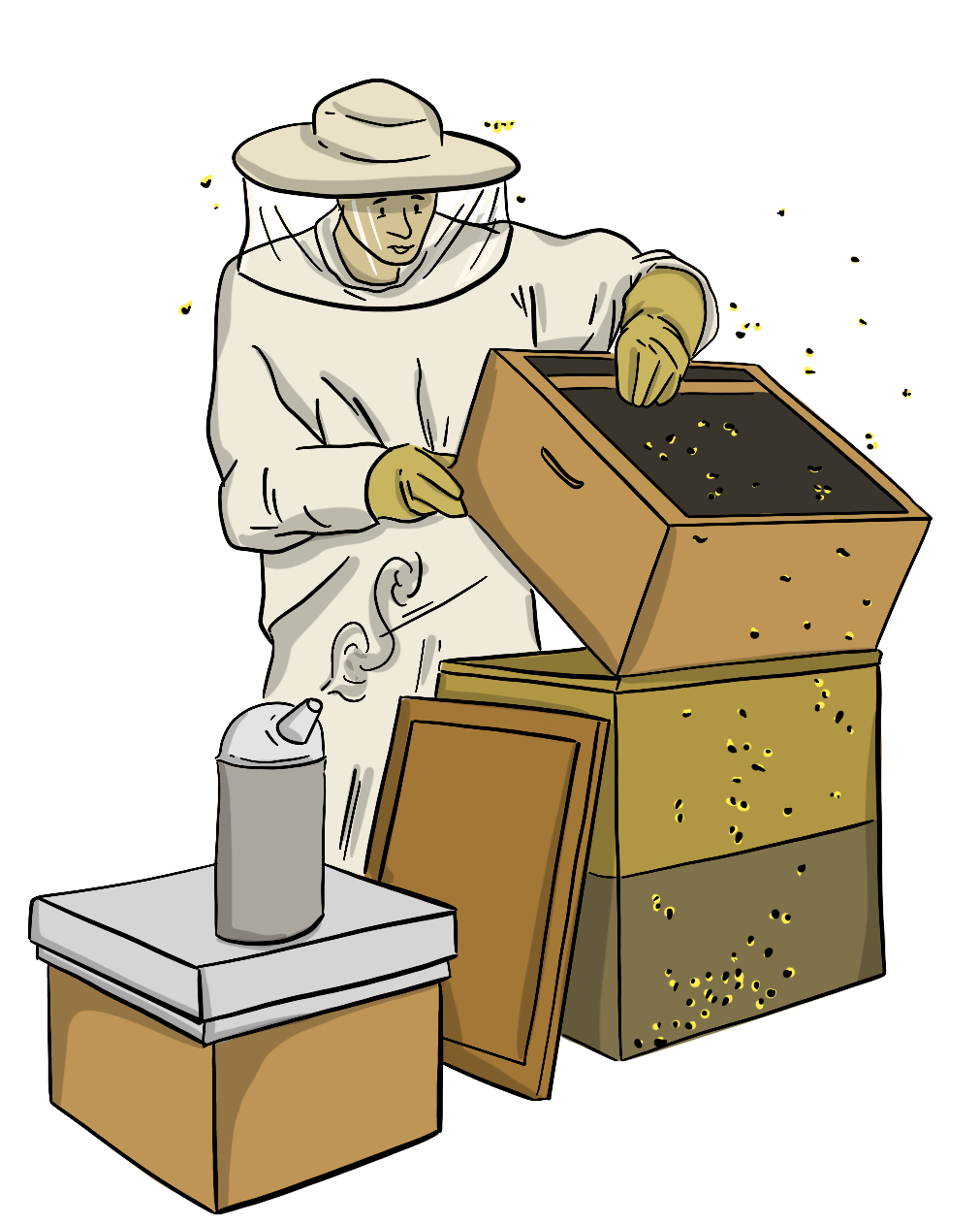 Housing A beekeeper is wearing a protective suit to harvest extra honey from the beehive.