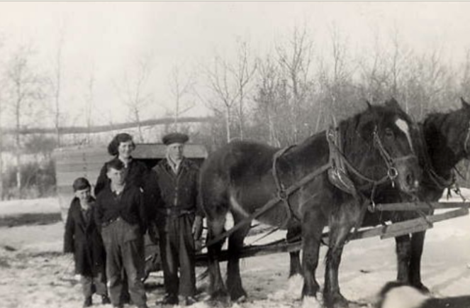 Four children are standing next to a wagon that is being pulled by two horses during the winter.