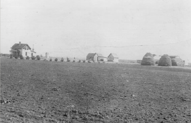 A homestead with a wood farmhouse, a few sheds, and some newly planted bushes along the edge of the house show a newly settled farm.
