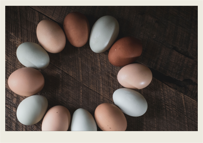 White and brown coloured eggs are laid out in a circle on a wooden table.
