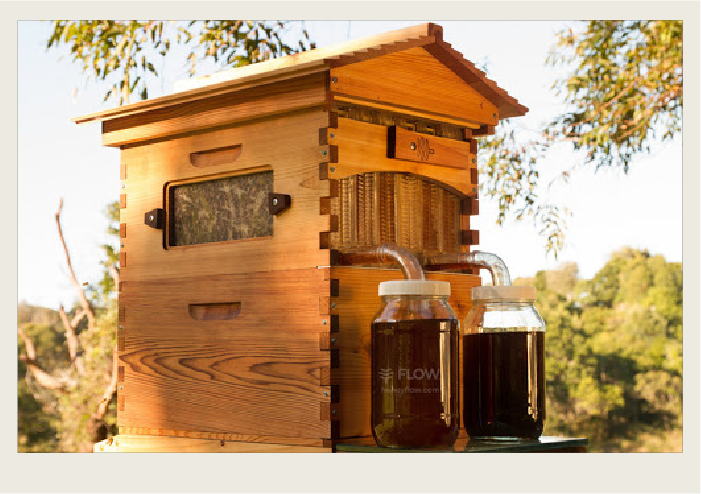 Photo caps-06 A honey hive is shown that has two valves on the front that are pouring honey into two glass jugs in front of the hive.