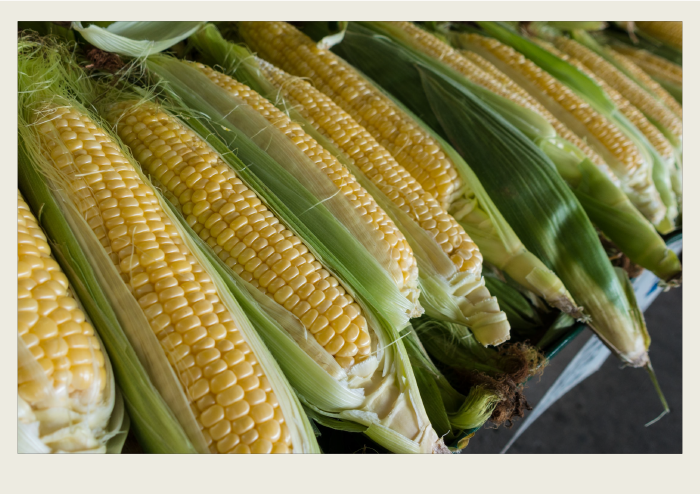 Corn