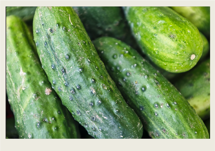 Cucumbers