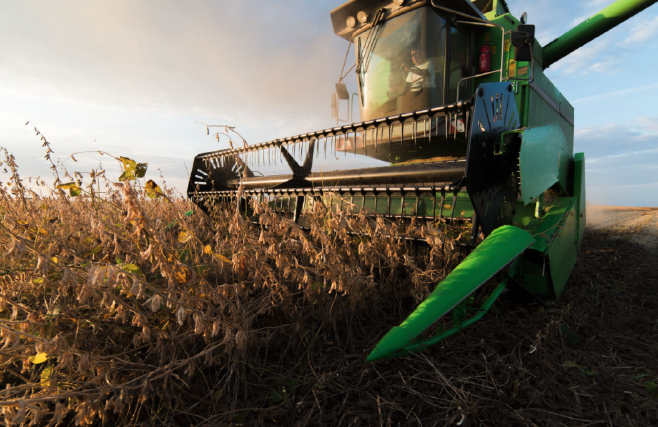 A combine is operating in a soybean field.
