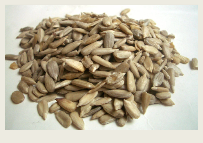 Sunflower seeds