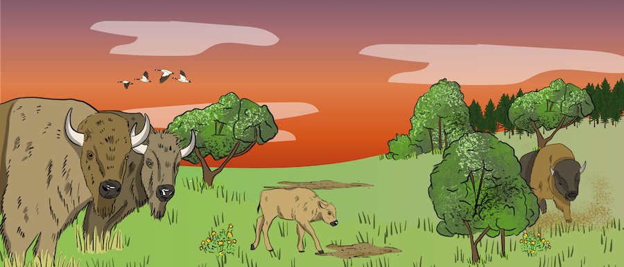 A herd of cattle are grazing in a pasture, while two ranchers are riding their horses in the pasture to check the cattle.