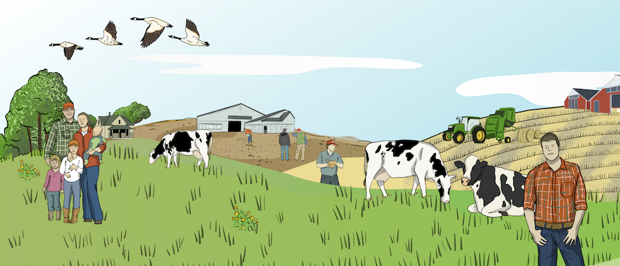 A few pigs are shown in a pig pen where some pigs are eating. A mother pig is also in the pen next to her babies. A farmer is dumping grain into feeders.