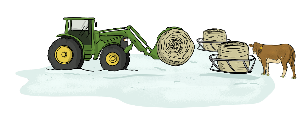 An illustrated green tractor with a front-end loader is being used to haul a bale out to a feeder that is in a snowy pasture with a brown cow standing next to it. 