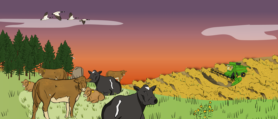 A herd of cattle are grazing in a pasture, while two ranchers are riding their horses in the pasture to check the cattle.