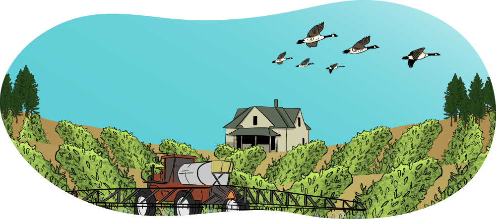 This illustrated potato farm has rows of potatoes with a farmhouse in the background. A crop sprayer has its booms out and is ready to spray.