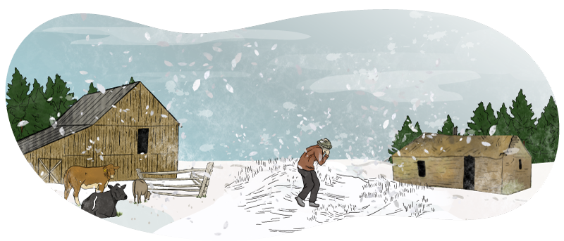 An illustrated settler struggles to get across his homestead from the wooden house in the background to the barn. There is a fierce blizzard happening and a few cows stand in the background. 