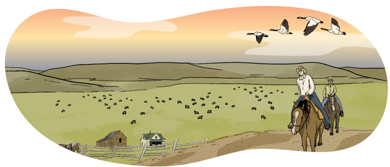 Two illustrated cowboys ride through a sunset-lit pasture on brown horses to check their herd of cattle. There is a homestead in the background with a house, barn, and a fence with a horse standing next to it.