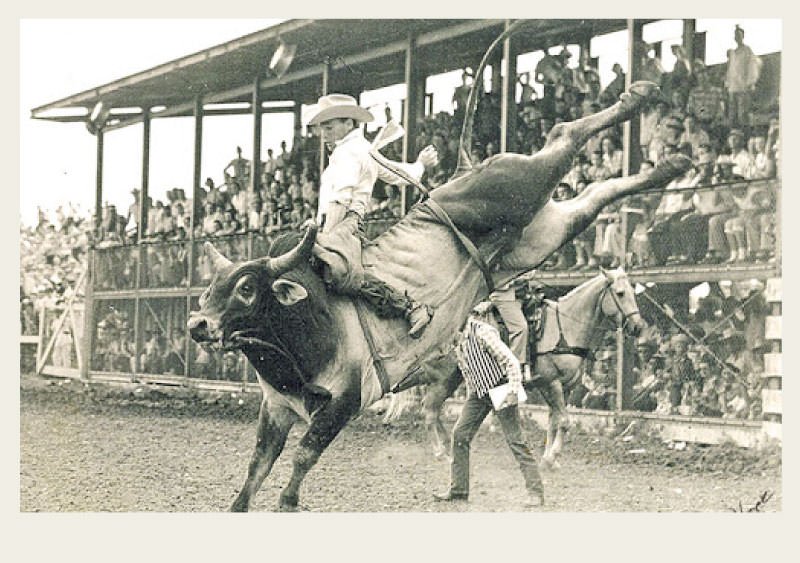 Past-Ranching-Rodeos-History A cowboy rides a large bull with horns that is bucking his back feet into the air. A full stadium stand of people watch in the background.