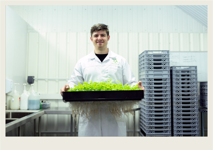 A scientist holds a tray of green plants in a laboratory.