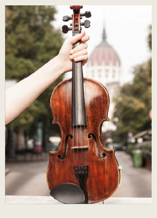 Violin
