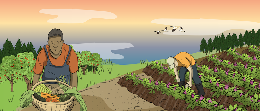 A small vegetable farm is shown with workers working in the fields and holding vegetables.