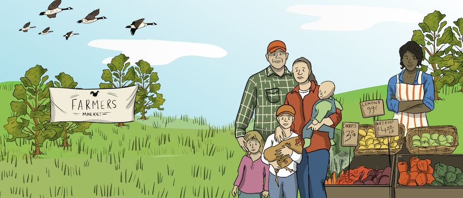 A vendor at a farmer's market is shown. They are selling a variety of fruits and vegetables.