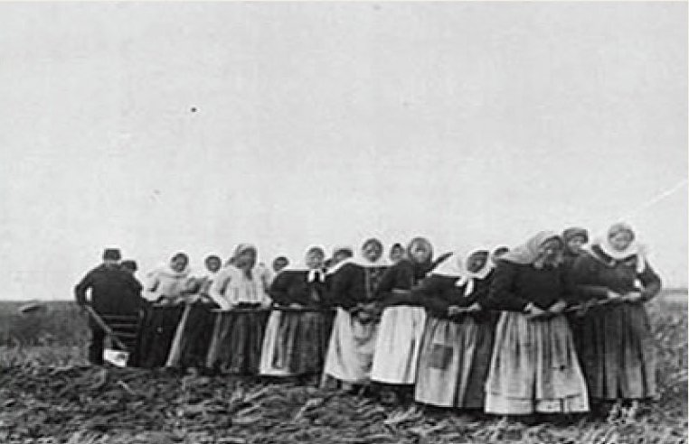 A group of eighteen or so women are gathered in a group, pulling an attachment that has been hooked up to a plough. The women are working together to break the prairie sod by pulling a plough over it themselves.