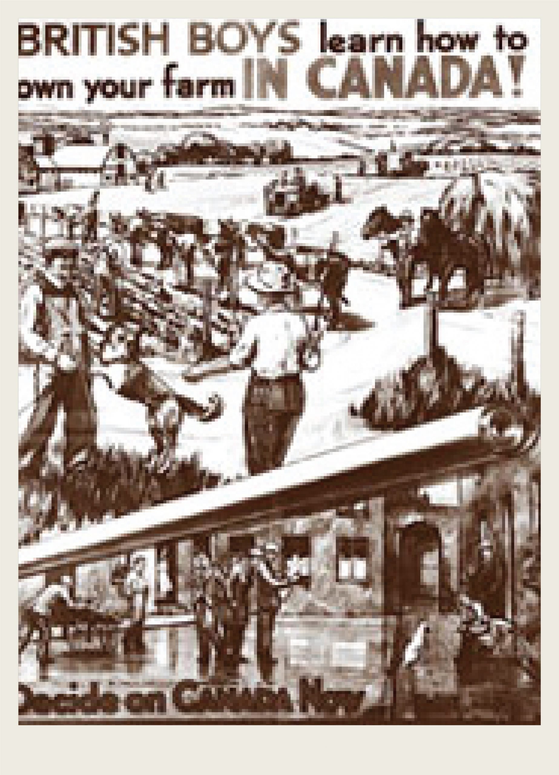 An advertisement is shown that says: British Boys learn how to own your farm in Canada. Free passages, good wages, farm instruction, and assistance to buy your own farm for boys 14 to 19. A black and white collection of images of men farming is in the centre of the advertisement.