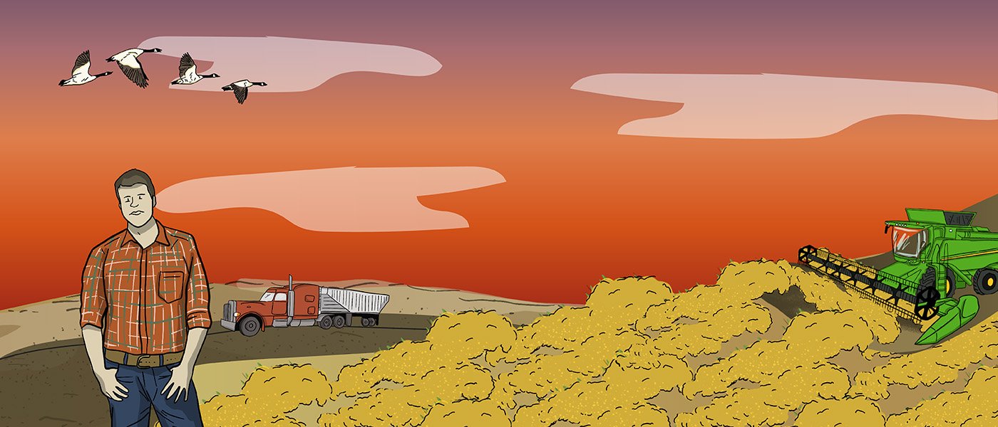 This photo is broken into three sections – one with a canola crop, another with a wheat crop, and another with a pulse crop. There is an image of rotating arrows in the middle of the crops.