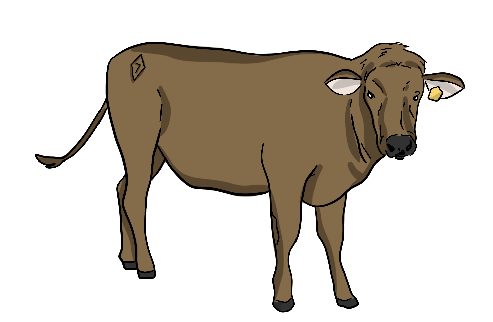An illustrated cow stands in a pasture with a brand on it. The brand is a diamond with the number seven inside of it.