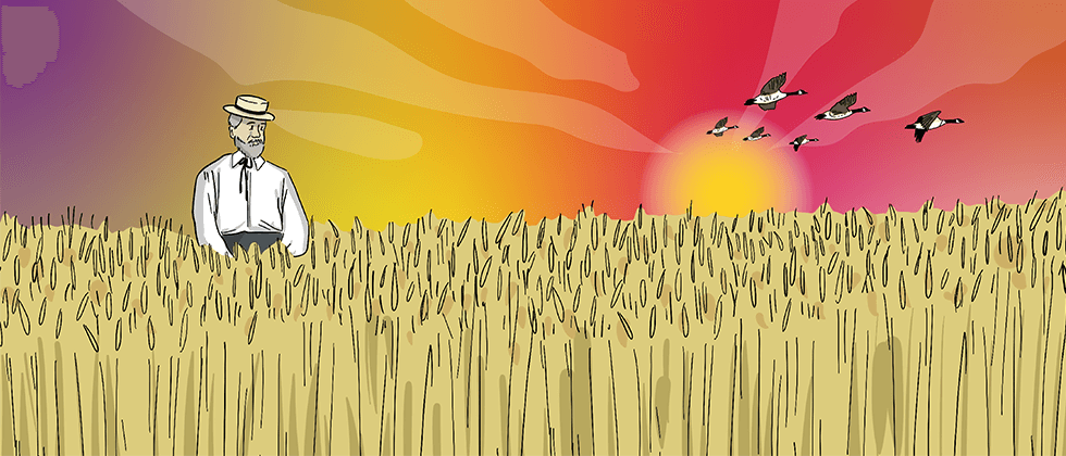 An illustrated wheat field is shown with a dark, stormy sky above.