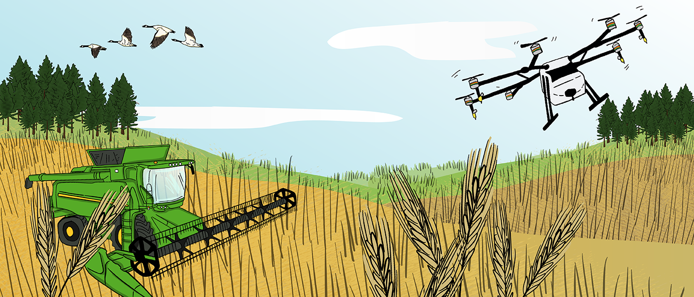 An illustrated combine is harvesting a golden coloured crop while a drone flies overhead. 